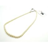 A Single Strand Graduated Pearl Bead Necklace, to panel clasp with inset diamond chip. *Ernest Jones