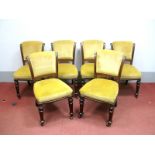 A Set of Six XIX Century Mahogany Dining Chairs, with upholstered back and seats on turned and