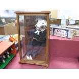 Model of Wise Owl In Mahogany Display Case, 53.5cm tall overall.