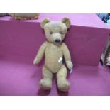 A Mid XX Century Teddy Bear, damage to back of head, jointed, 38cm high.