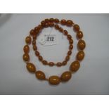 A Long Single Strand Graduated Amber Coloured Bead Necklace, knotted.