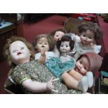 Six Mid XX Century Plastic Dolls, including Pedigree, up to 60cm high, fading, signs of wear, all