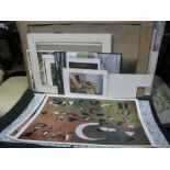 A Folder of Unframed Watercolours, mostly Country Scenes, artists include E. Earp, G.A. Elliss, J.S.