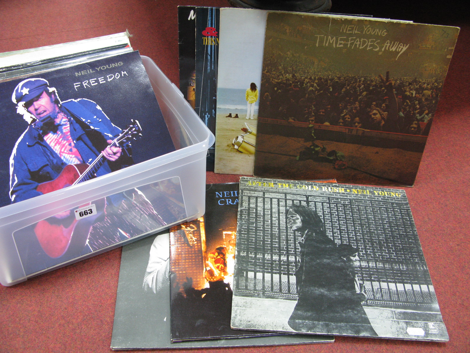 Neil Young - A collection of twenty-four LP's, to include Weld, Ragged Glory, Freedom, Zuma,