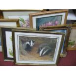 Roy Aplin Badger Study, signed and dated '88, 25.5 x 36.5cm , eight other pictures.