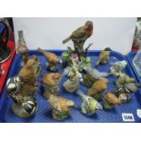 Fourteen Royal Worcester Bird Models, including Pied Woodpeckers, Chaffinches, Blue Tits,