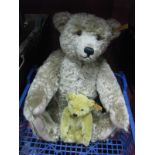 Two Modern Steiff Teddy Bears, with poseable arms and legs, glass eyes, one with growler 38cm