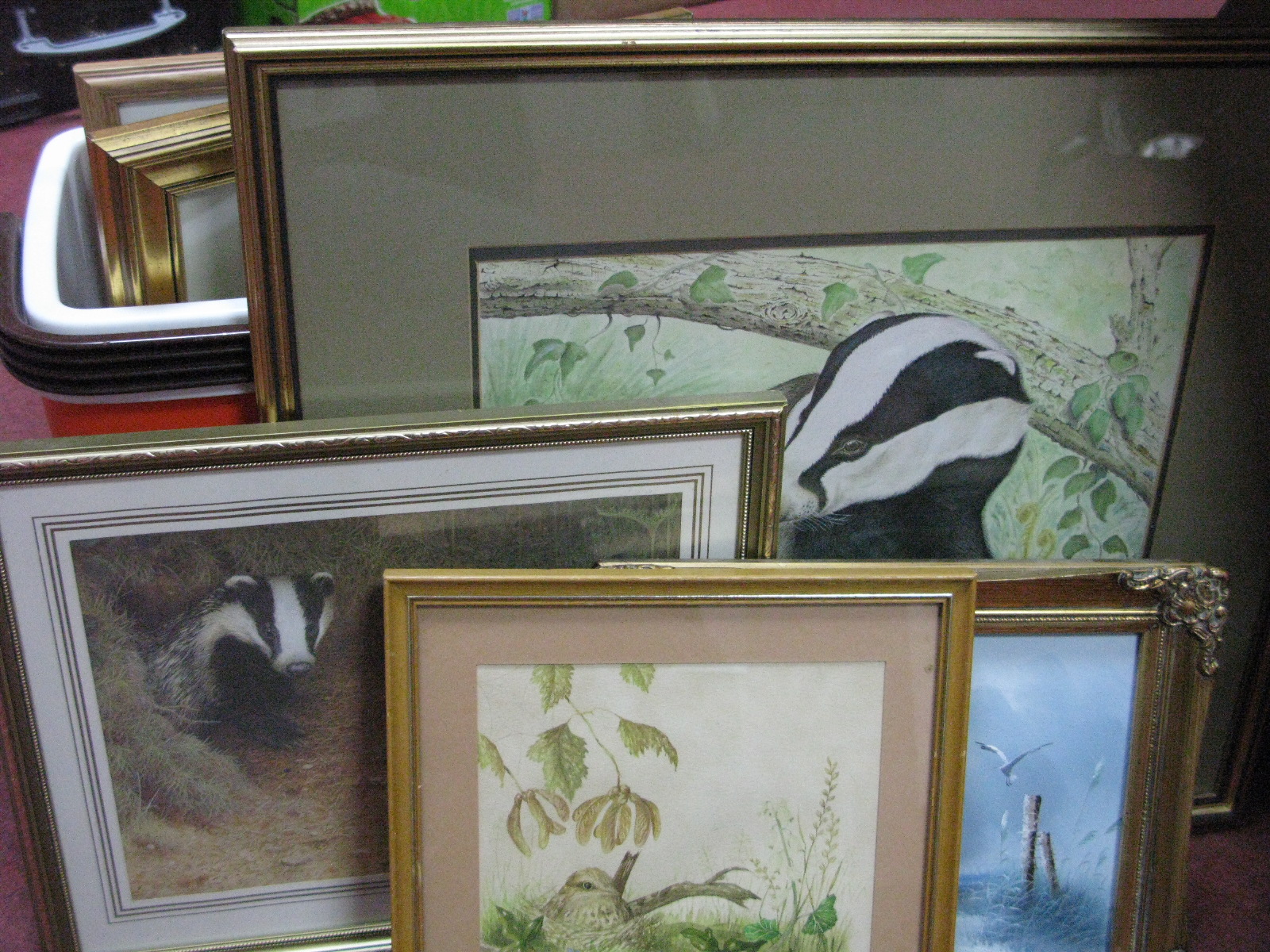 Roy Aplin Badger Study, signed and dated '88, 25.5 x 36.5cm, eight other pictures.