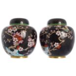 PAIR CHINESE CLOISONNÉ JARS AND COVERS each of bulbous form 15 cm. high; 13 cm. diameter (2)