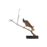 NINETEENTH-CENTURY GILT BRONZE BIRDperched on a branch, raised on a marble plinth57 cm. high; 52 cm.