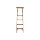 NINETEENTH-CENTURY LIBRARY LADDER