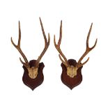 PAIR OF DEER ANTLERS