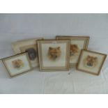 Watercolours - Chow-Chow portraits - Dora Webb RMS,