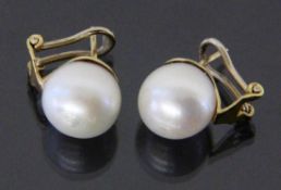 PAAR OHRSTECKER MIT SÜDSEEPERLEN 585/000 Gelbgold. D. ca. 12 mm A PAIR OF STUD EARRINGS WITH SOUTH