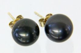 PAAR OHRSTECKER MIT TAHITIPERLEN 585/000 Gelbgold. D. ca. 11 mm A PAIR OF STUD EARRINGS WITH