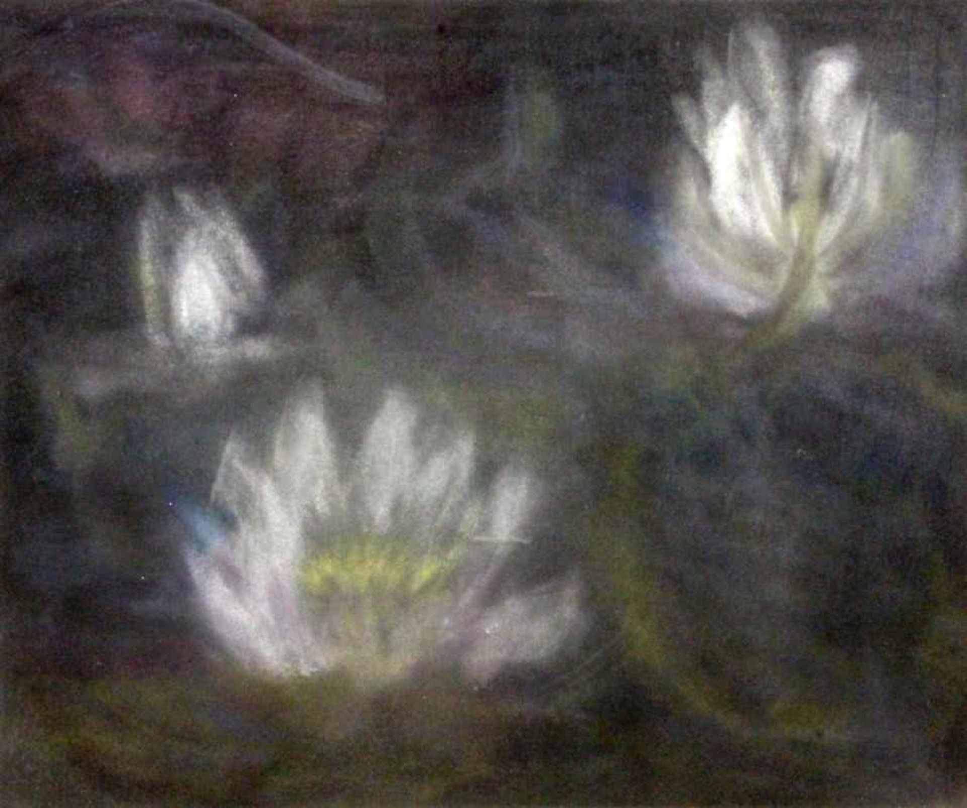 ANONYMER KÜNSTLER Seerosen. Pastell. 36,5x45cm, Ra. UNKNOWN ARTIST Water lilies. Pastel. 36.5 x 45