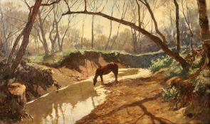 MEYER-WALDECK, KUNZ Mitau 1859 - 1953 Neuburg am Inn Trinkendes Pferd an einer Wasserstelle im Wald.