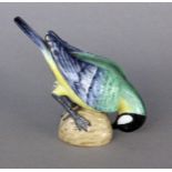 KOHLMEISE AUF NUSS Meissen, 19.Jh. Bunt staffiere Vogelfigur. Modell-Nr. 798x. Schwertermarke, 1.