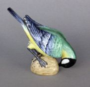 KOHLMEISE AUF NUSS Meissen, 19.Jh. Bunt staffiere Vogelfigur. Modell-Nr. 798x. Schwertermarke, 1.