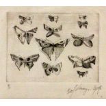 ANONYMER KÜNSTLER 1981 Schmetterlinge. Radierung, undeutl. mit Bleistift signiert. Num.: 3/3,