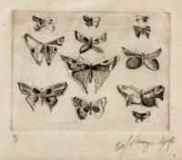 ANONYMER KÜNSTLER 1981 Schmetterlinge. Radierung, undeutl. mit Bleistift signiert. Num.: 3/3,