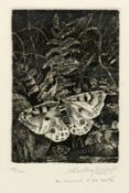 FRIEDLIN-BINAEPFEL, MONIQUE 1923 Schmetterling. Radierung, handsigniert und num.: 19/30. 14,5x10,