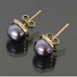 PAAR OHRSTECKER585/000 Gelbgold mit Tahitiperle von ca. 10mm. Brutto ca. 4gA PAIR OF STUD EARRINGS