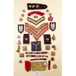 A box of assorted militaria badges and cloth and a pair of cloth formations signs