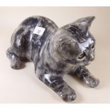 A Winstanley grey tabby cat - size 5