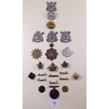 A box of military badges etc