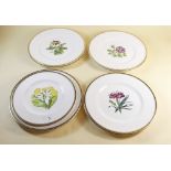 Eight floral painted Royal Worcester dinner plates by A H Williamson