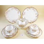 An Edwardian floral printed tea service to include twelve cups and saucers, twelve tea plates, two