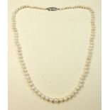 A single string of pearls