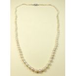 A string of pearls with diamond set white gold clasp