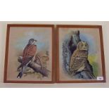 Two Indian silk pictures of Birds of Prey