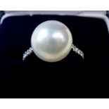A Beards of Cheltenham 18 carat white gold ring set large pearl on diamond set shoulders