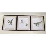 Three Chinese watercolours: one Kingfisher and two with ducks in flight