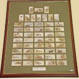 A framed set of Players cigarette cards of gamebirds and fowls - 46 x 60cm