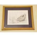 Mark Clark - limited edition etching of a reclining nude 59/120 - 19 x 27cm