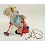 A Chiltern Bear riding trike