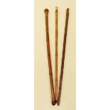 Three various walking sticks