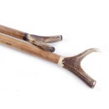 Two oak and horn shooting sticks
