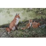 Framed and glazed original water colour of a Vixen and Cubs by renowned wildlife artist R David