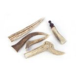 Five various antler tips (for knife grips/walking sticks)