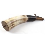 Cows horn shot dispenser containing lead shot, brass mounted with suspension ring, 11 ins overall