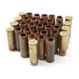 33 x 12 bore Eley Nobel brass cases for reloading