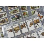 Cigarette Cards, Natural History, a collection of sets to include Players Natural History, Animals