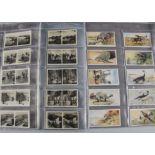 Foreign Cigarette Cards, BAT, all with printed backs and no makers name, Pictures of the East,