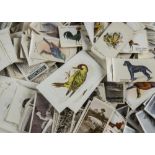 Cigarette Cards, Mixture, a vast quantity of loose cards, variious manufacturers and genres,