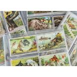 Liebig Cards, Mixture, eleven sets, to include Camoflague with Insects (S1065), Ants (S1263), Faming